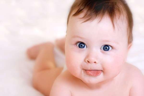 <a href="https://floriodontologia.com.br/especialista-frenectomia-a-laser/">Frenectomia a Laser</a>